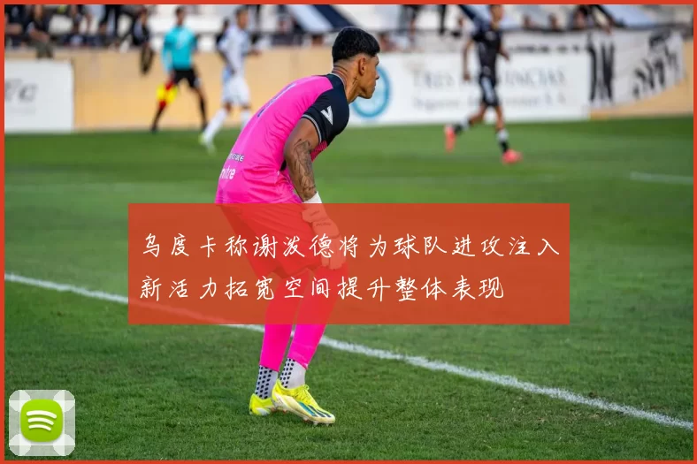 乌度卡称谢泼德将为球队进攻注入新活力拓宽空间提升整体表现