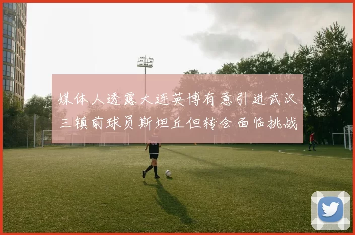 媒体人透露大连英博有意引进武汉三镇前球员斯坦丘但转会面临挑战